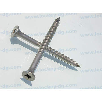 Stainless Steel Self Tapping Screw Deck Screw Type 17